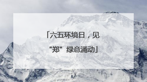 六五环境日，见“郑”绿意涌动