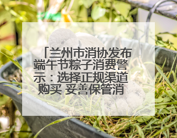 兰州市消协发布端午节粽子消费警示：选择正规渠道购买 妥善保管消费凭证
