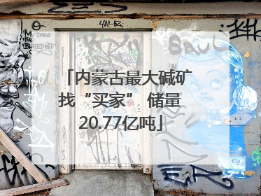 内蒙古最大碱矿找“买家” 储量20.77亿吨