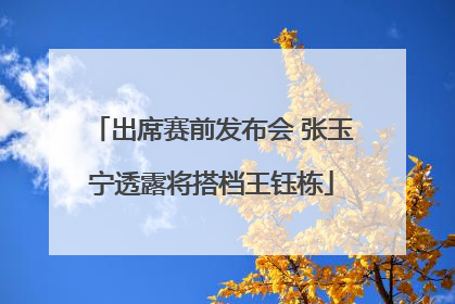 出席赛前发布会 张玉宁透露将搭档王钰栋