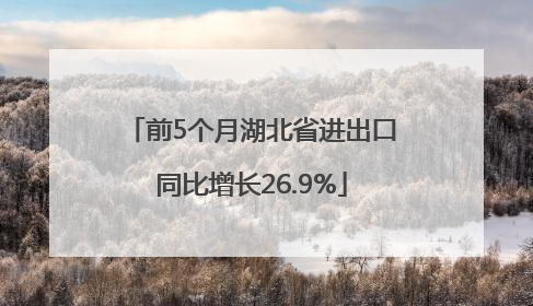 前5个月湖北省进出口同比增长26.9%