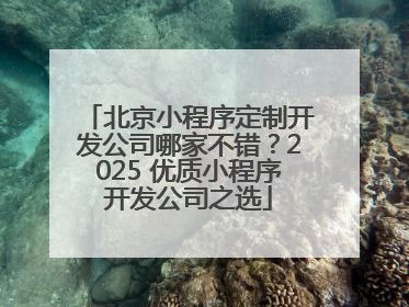 北京小程序定制开发公司哪家不错？2025 优质小程序开发公司之选