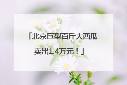 北京巨型百斤大西瓜卖出1.4万元！
