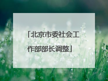 北京市委社会工作部部长调整