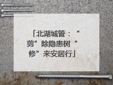 北湖城管：“剪”除隐患树“修”来安居行