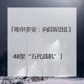 埃尔多安：向印尼出口48架“五代战机”