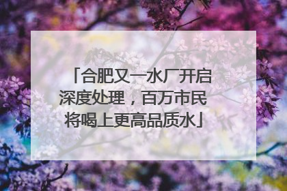 合肥又一水厂开启深度处理，百万市民将喝上更高品质水