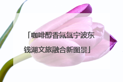 咖啡醇香氤氲宁波东钱湖文旅融合新图景
