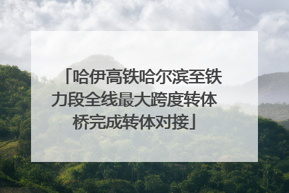 哈伊高铁哈尔滨至铁力段全线最大跨度转体桥完成转体对接