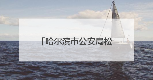 哈尔滨市公安局松北分局开展庆祝中国共产党成立104周年系列活动