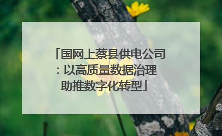 国网上蔡县供电公司：以高质量数据治理 助推数字化转型