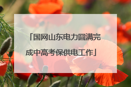 国网山东电力圆满完成中高考保供电工作