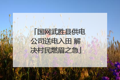 国网武胜县供电公司送电入田 解决村民燃眉之急