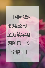 国网漯河供电公司：全力筑牢电网防汛“安全堤”