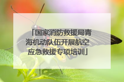 国家消防救援局青海机动队伍开展航空应急救援专项培训