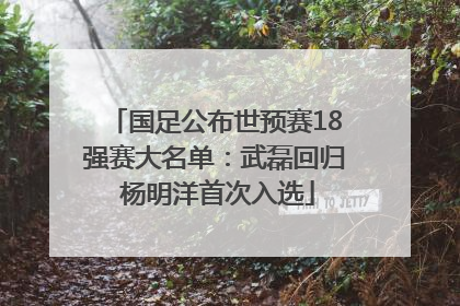 国足公布世预赛18强赛大名单：武磊回归 杨明洋首次入选