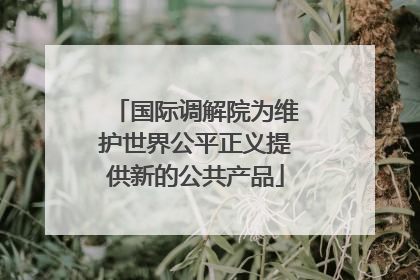 国际调解院为维护世界公平正义提供新的公共产品