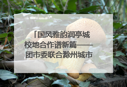 国风雅韵润亭城 校地合作谱新篇——团市委联合滁州城市职业学院助力传统文化“破圈”绽放