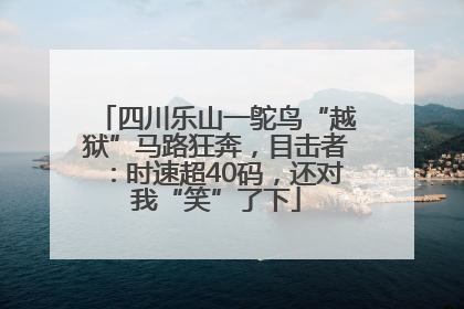 四川乐山一鸵鸟“越狱”马路狂奔，目击者：时速超40码，还对我“笑”了下