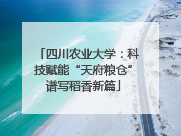 四川农业大学：科技赋能“天府粮仓”谱写稻香新篇