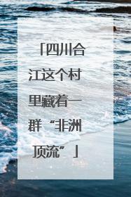 四川合江这个村里藏着一群“非洲顶流”