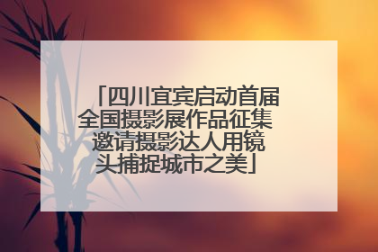 四川宜宾启动首届全国摄影展作品征集 邀请摄影达人用镜头捕捉城市之美