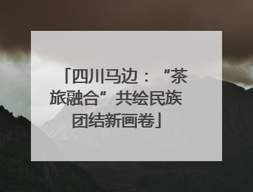 四川马边：“茶旅融合”共绘民族团结新画卷