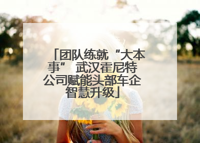 团队练就“大本事” 武汉霍尼特公司赋能头部车企智慧升级