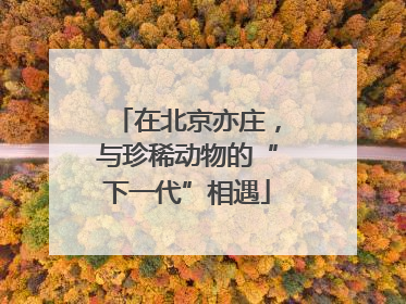 在北京亦庄，与珍稀动物的“下一代”相遇