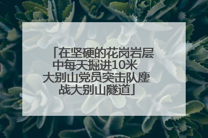 在坚硬的花岗岩层中每天掘进10米 大别山党员突击队鏖战大别山隧道