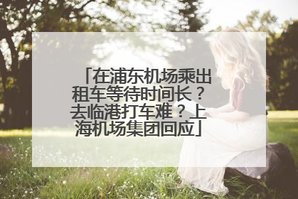 在浦东机场乘出租车等待时间长？去临港打车难？上海机场集团回应