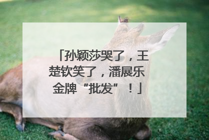 孙颖莎哭了，王楚钦笑了，潘展乐金牌“批发”！