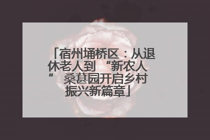 宿州埇桥区：从退休老人到 “新农人” 桑葚园开启乡村振兴新篇章