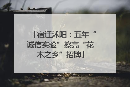 宿迁沭阳：五年“诚信实验”擦亮“花木之乡”招牌