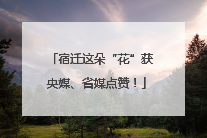 宿迁这朵“花”获央媒、省媒点赞！