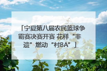 宁夏第八届农民篮球争霸赛决赛开赛 花样“非遗”燃动“村BA”