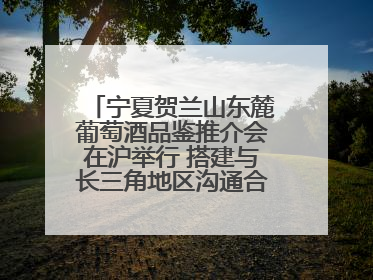 宁夏贺兰山东麓葡萄酒品鉴推介会在沪举行 搭建与长三角地区沟通合作的桥梁