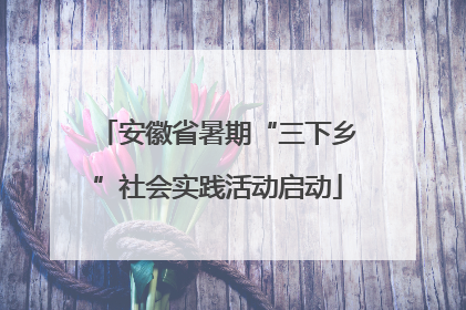 安徽省暑期“三下乡”社会实践活动启动