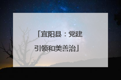 宜阳县：党建引领和美善治