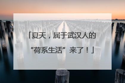 夏天，属于武汉人的“荷系生活”来了！