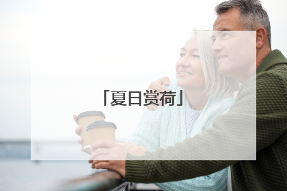 夏日赏荷