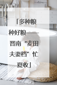 多种粮 种好粮——晋南“麦田夫妻档”忙夏收