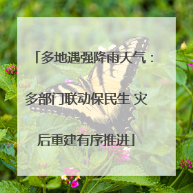 多地遇强降雨天气：多部门联动保民生 灾后重建有序推进