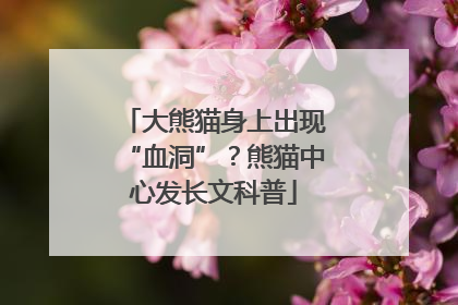 大熊猫身上出现“血洞”？熊猫中心发长文科普