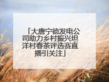 大唐宁德发电公司助力乡村振兴坦洋村春茶评选赛直播引关注