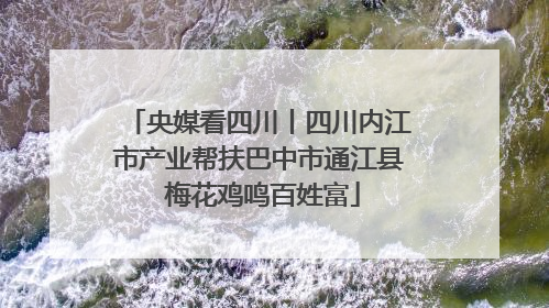 央媒看四川丨四川内江市产业帮扶巴中市通江县 梅花鸡鸣百姓富