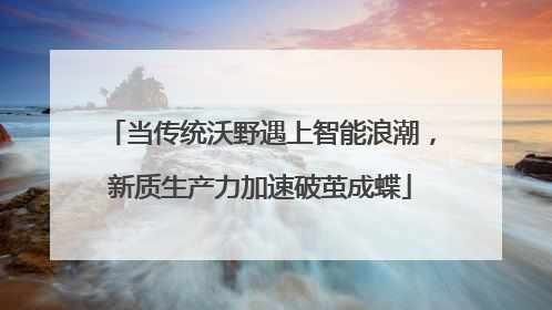 当传统沃野遇上智能浪潮，新质生产力加速破茧成蝶