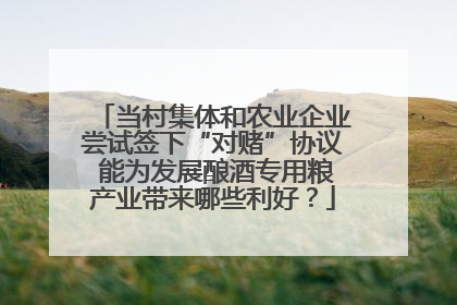当村集体和农业企业尝试签下“对赌”协议 能为发展酿酒专用粮产业带来哪些利好？