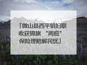 微山县西平镇妇联收获锦旗 “两癌”保险理赔解民忧