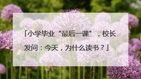 小学毕业“最后一课”，校长发问：今天，为什么读书？